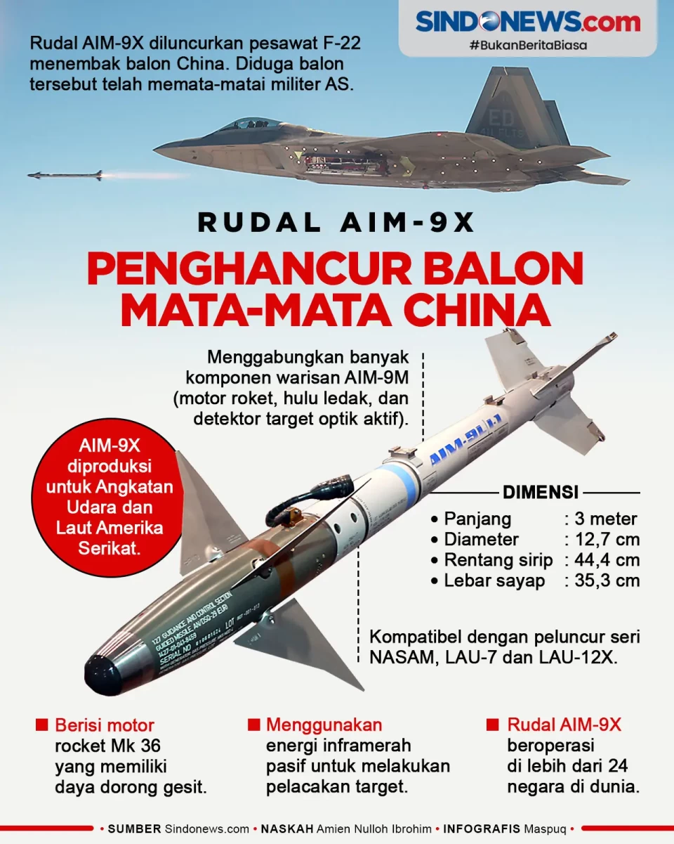 AIM-9X, Rudal yang Menghancurkan...