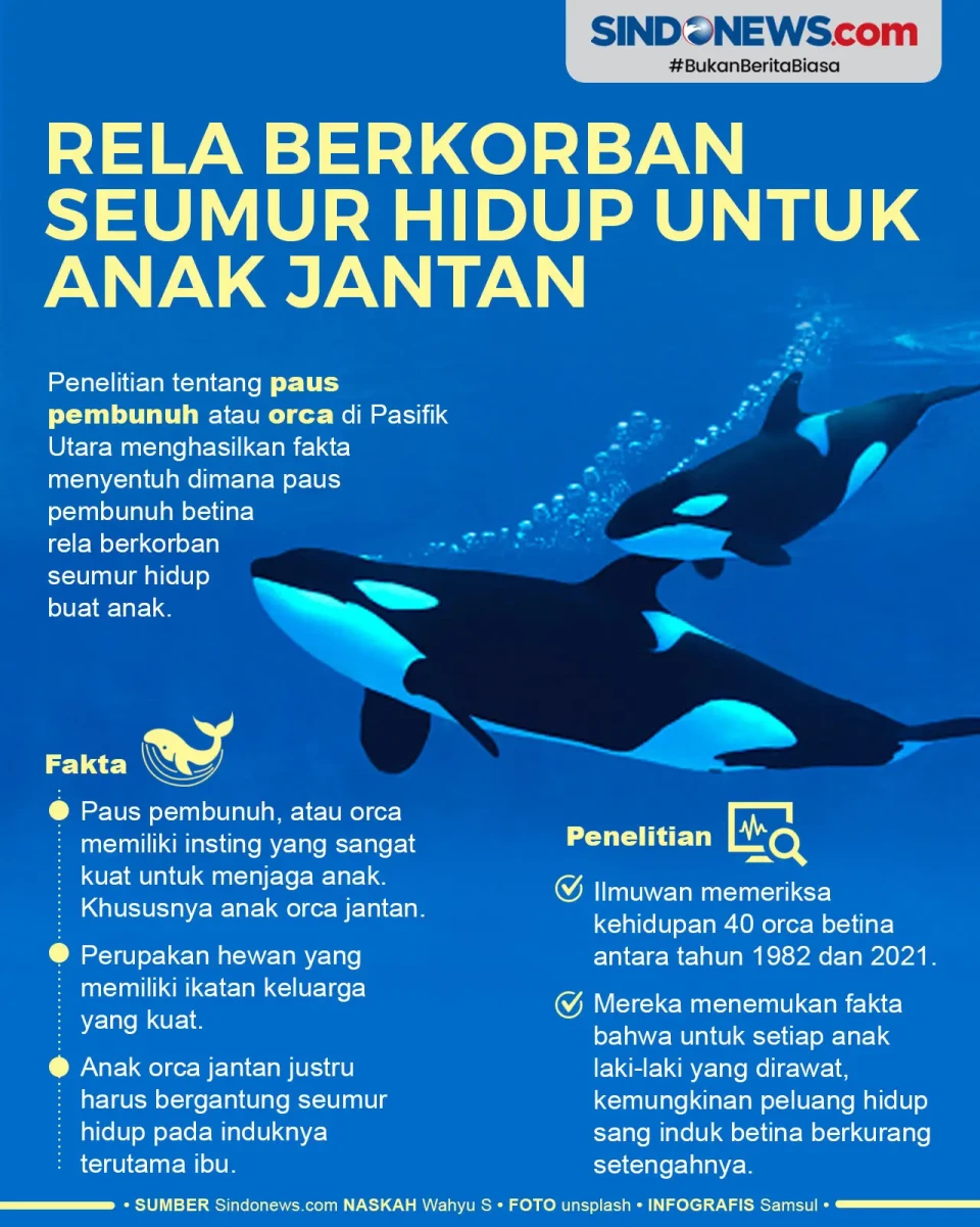 Paus Pembunuh ini Rela...