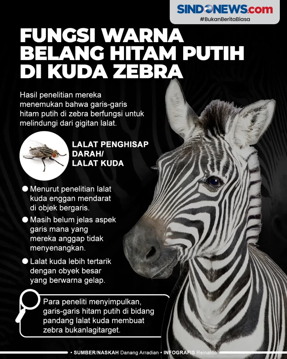 Fungsi Warna Belang...