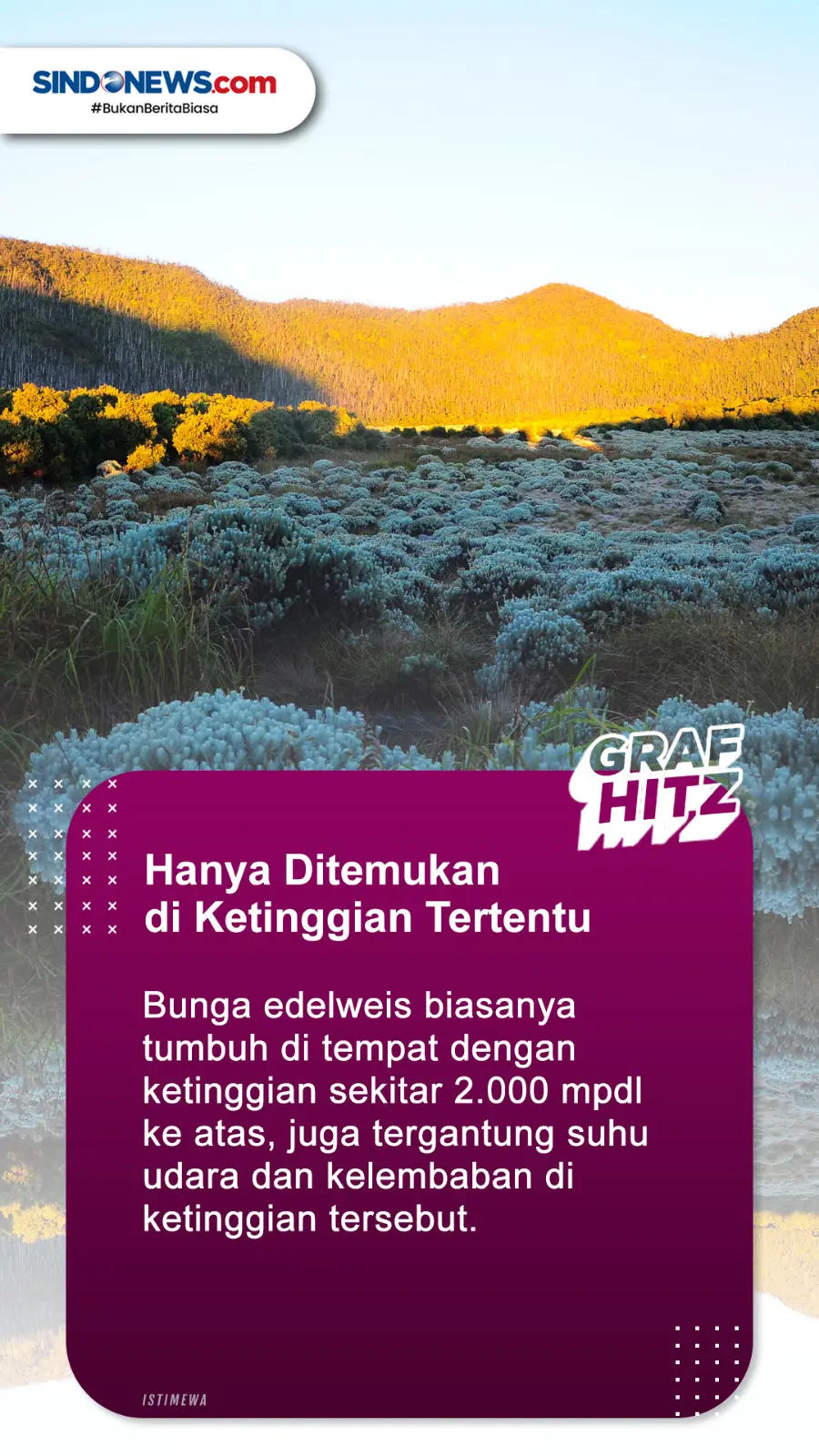 Beda Versi di Luar Negeri,...
