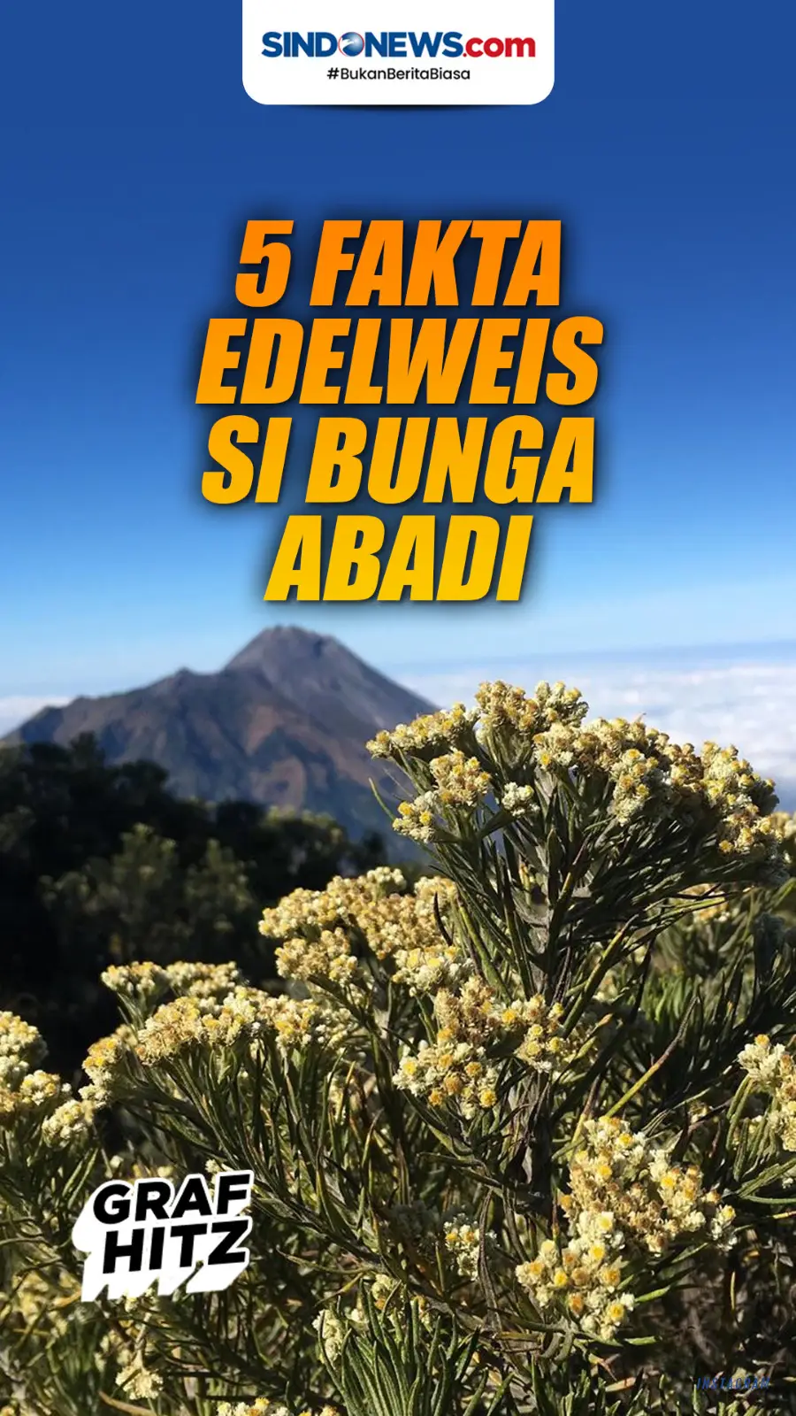 Beda Versi di Luar Negeri,...