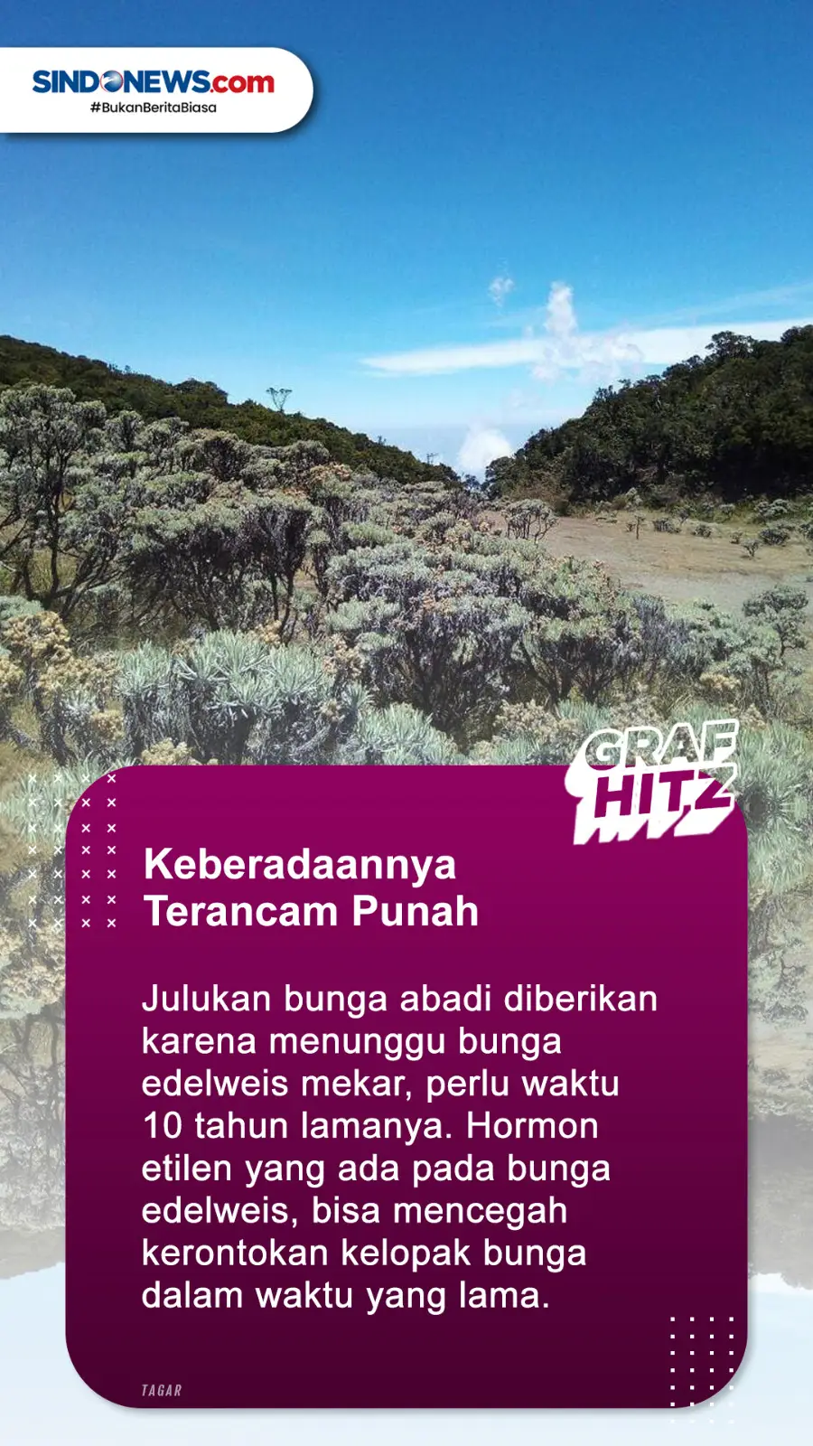 Beda Versi di Luar Negeri,...