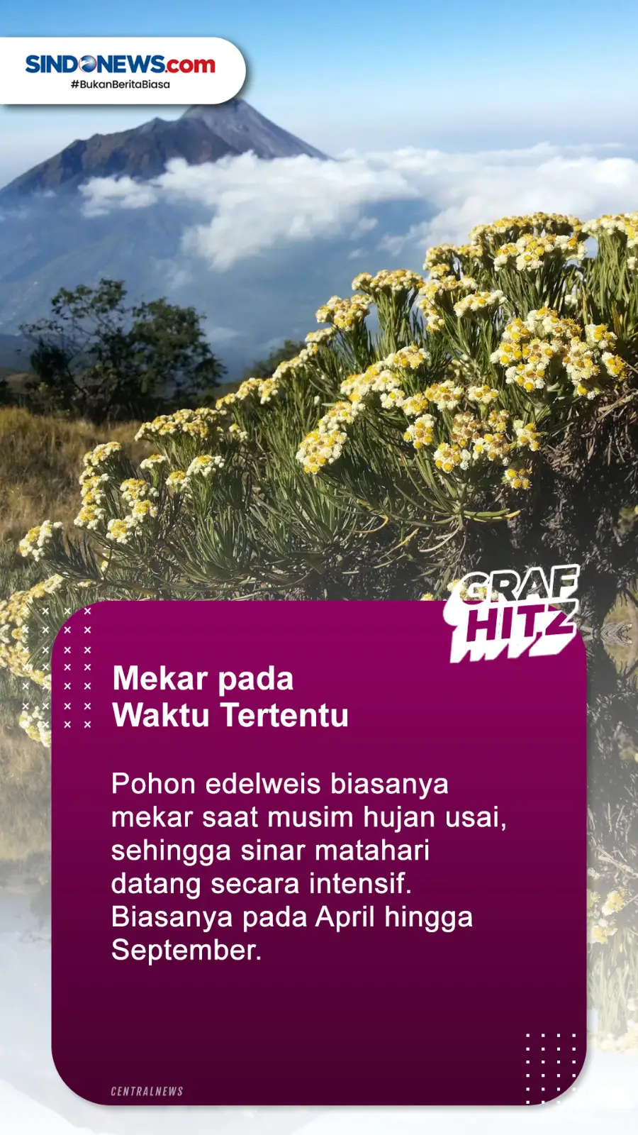 Beda Versi di Luar Negeri,...