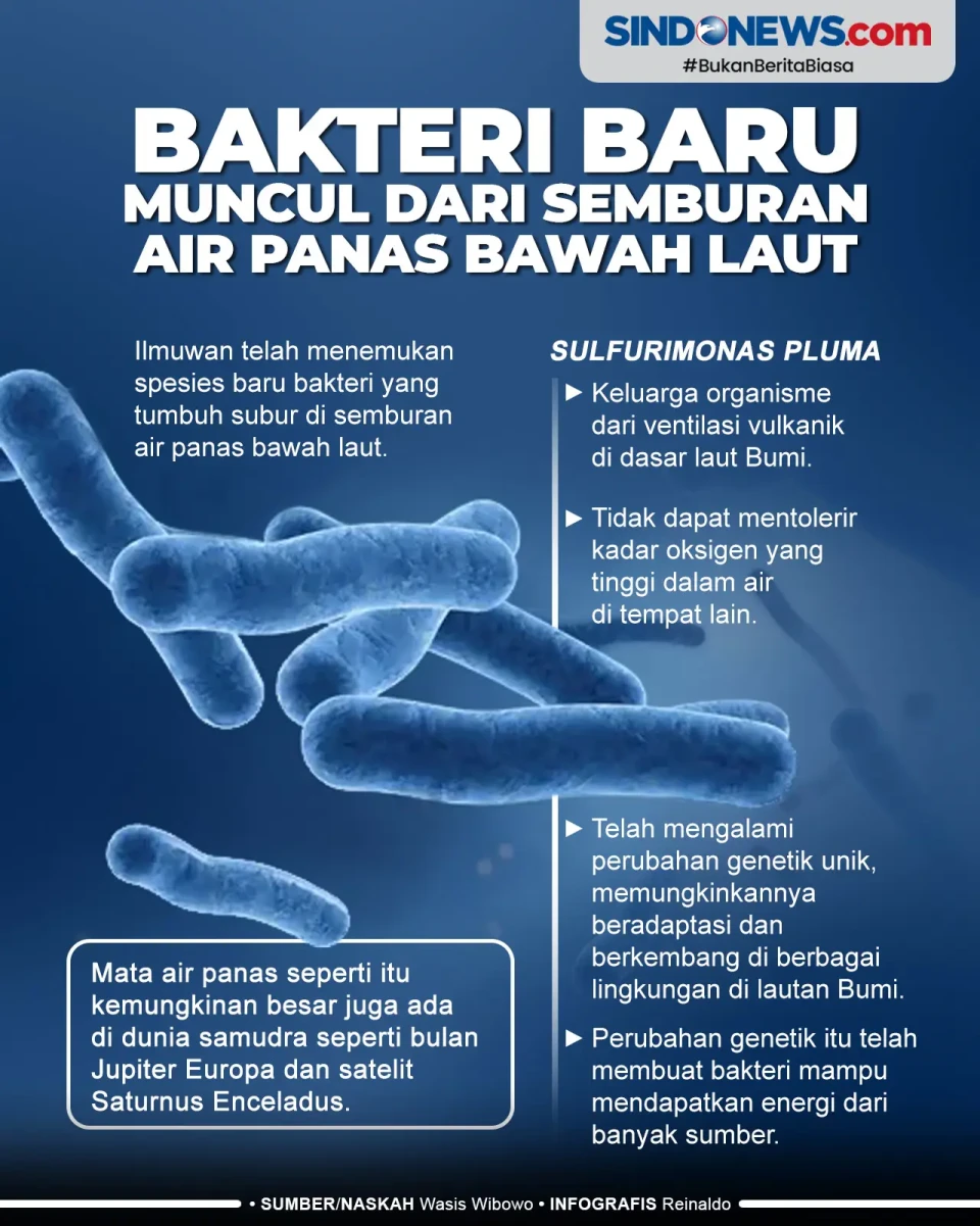 Bakteri Baru Muncul...