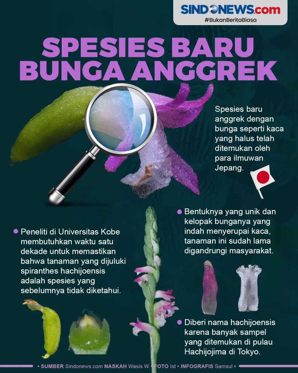Spesies Baru Bunga Anggrek...