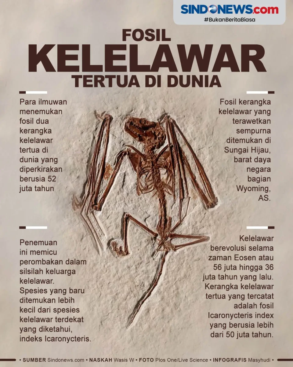 Fosil Kelelawar Tertua...