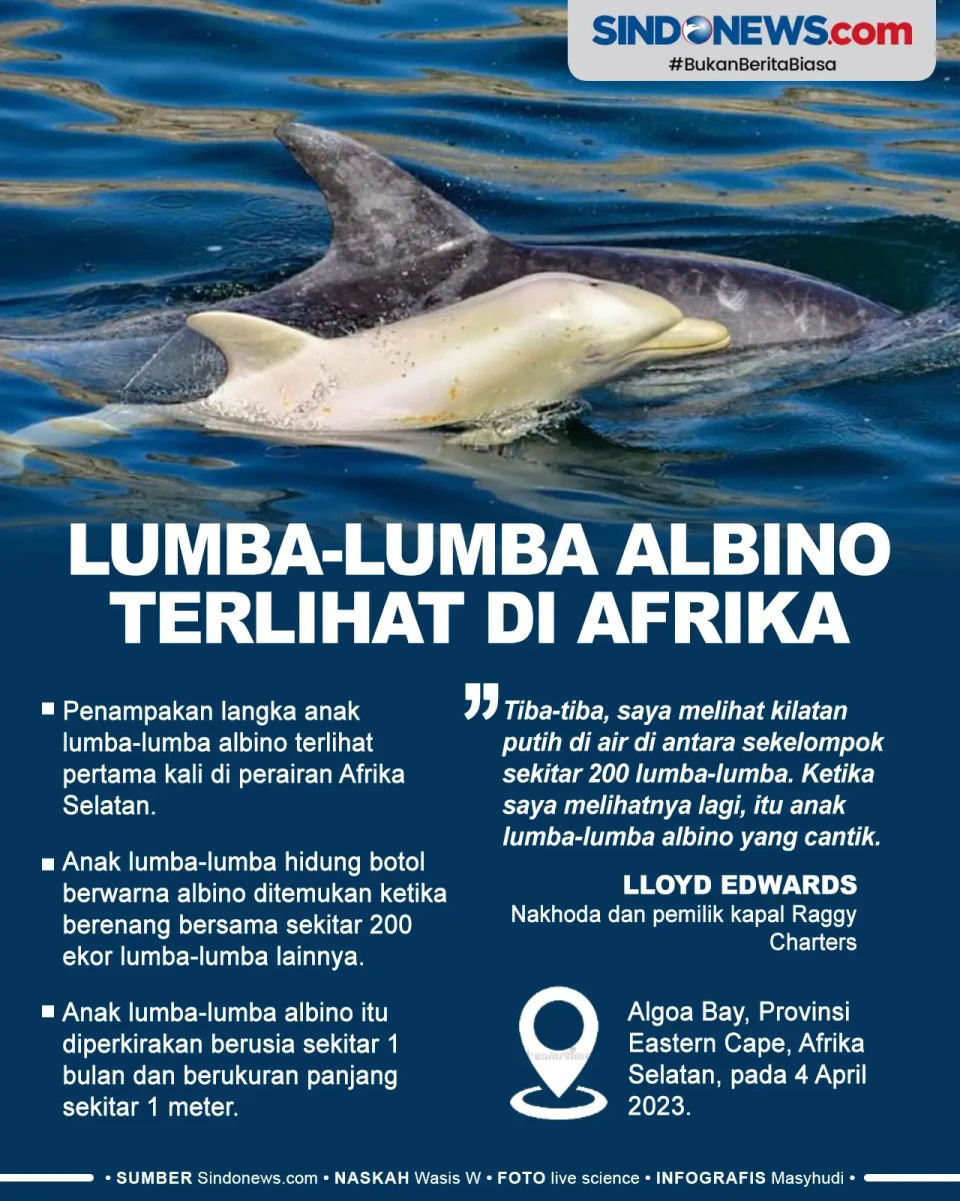 Langka, Lumba-lumba...