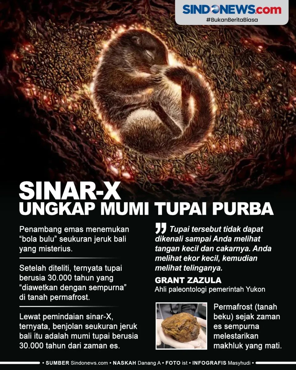 Sinar-X Ungkap Mumi...
