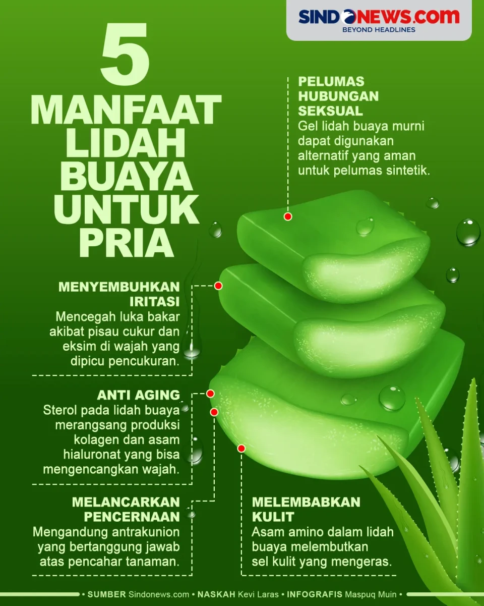 Bisa Dijadikan Anti...
