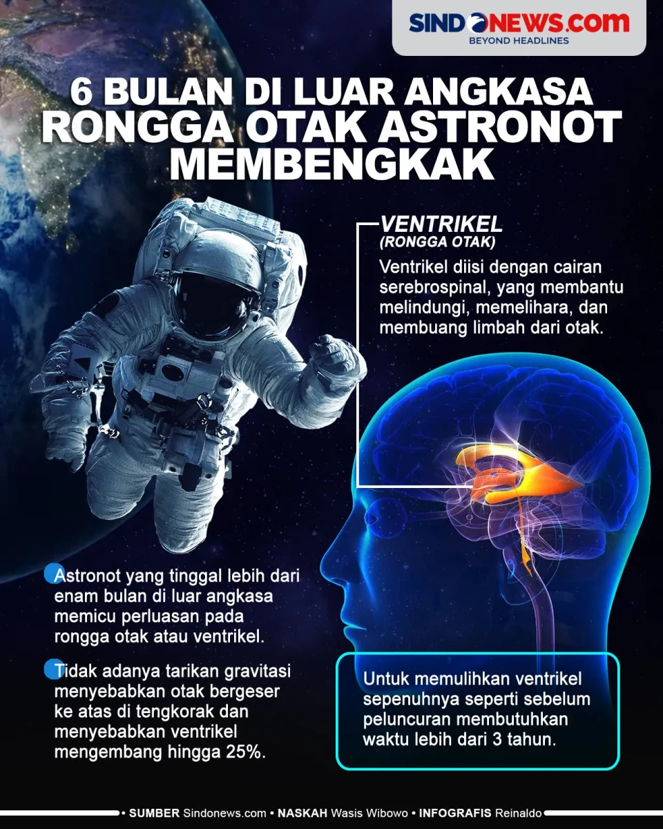 6 Bulan Tinggal di Luar...