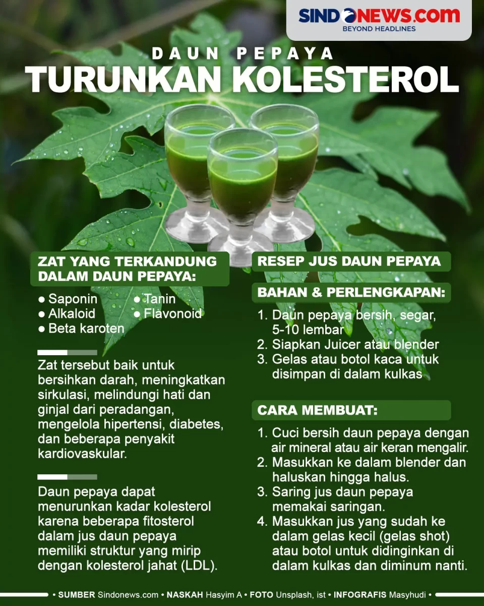 Mengkonsumsi Daun Pepaya...