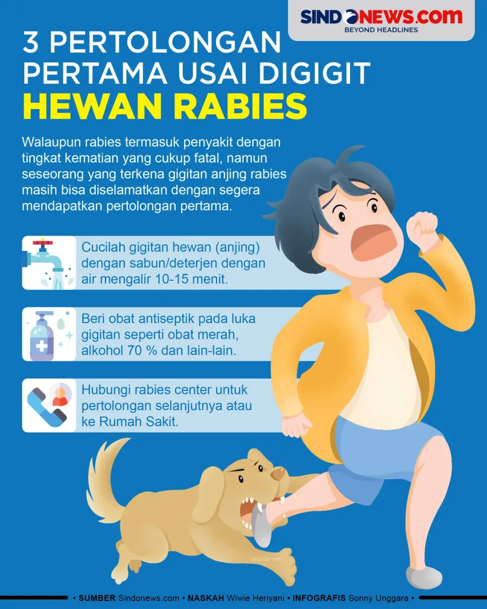 3 Pertolongan Pertama...