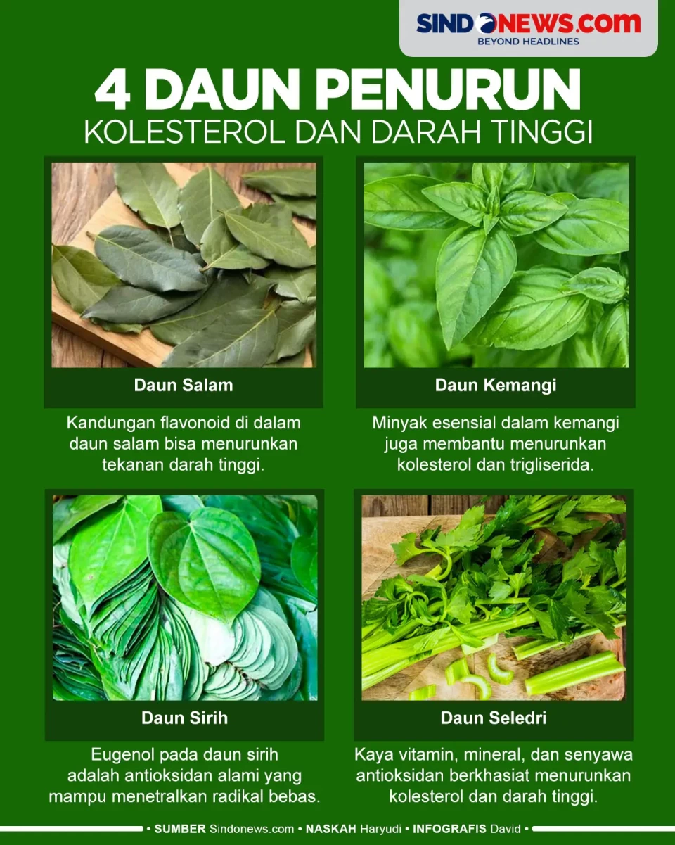 Mudah Ditemukan, Berikut...