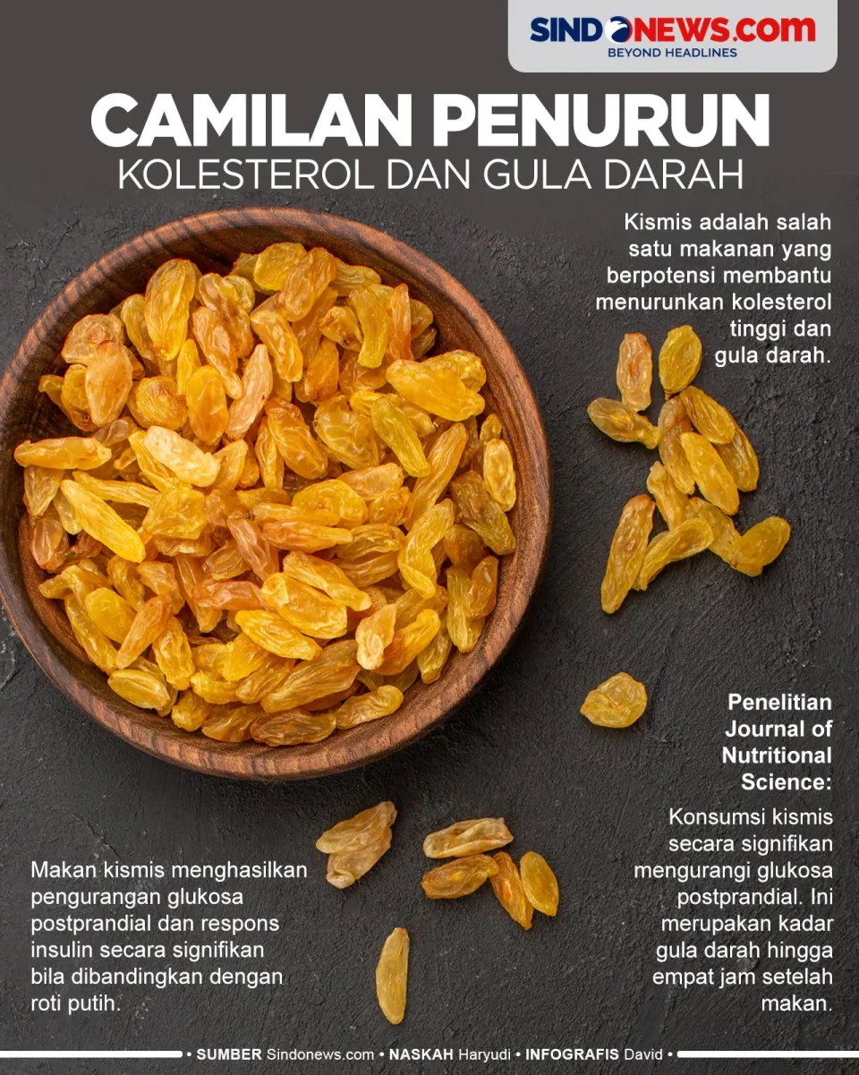Camilan Sehat Penurun...