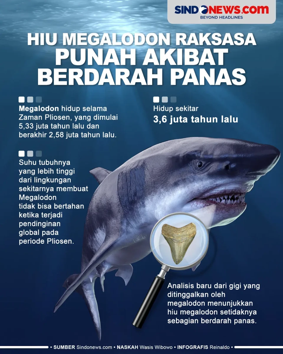 Hiu Megalodon Raksasa...