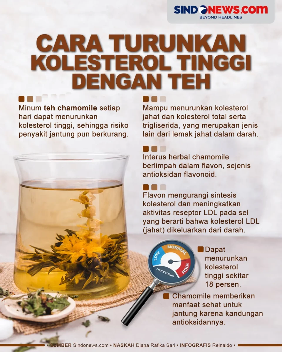 Turunkan Kolesterol...