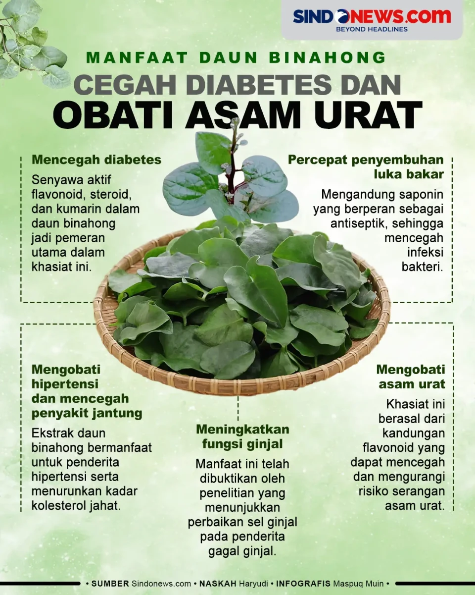 Cegah Diabetes dan Obati...