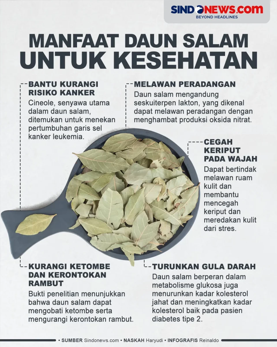 Manfaat Daun Salam untuk...