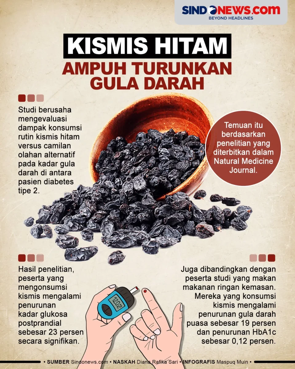 Kismis Hitam Ampuh Menurunkan...