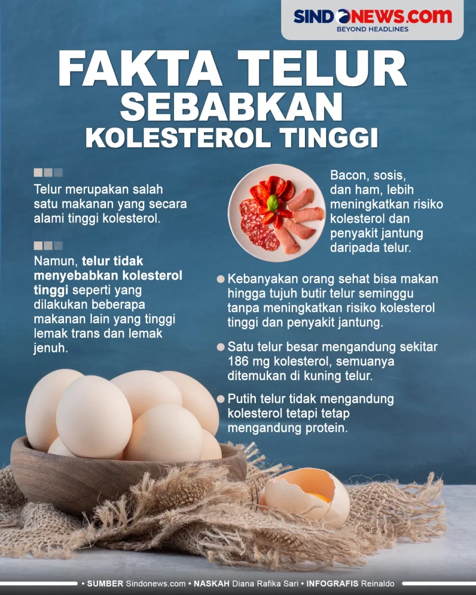 Fakta Telur Sebabkan...