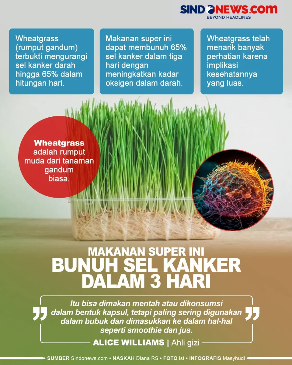 Makanan Ini Terbukti...