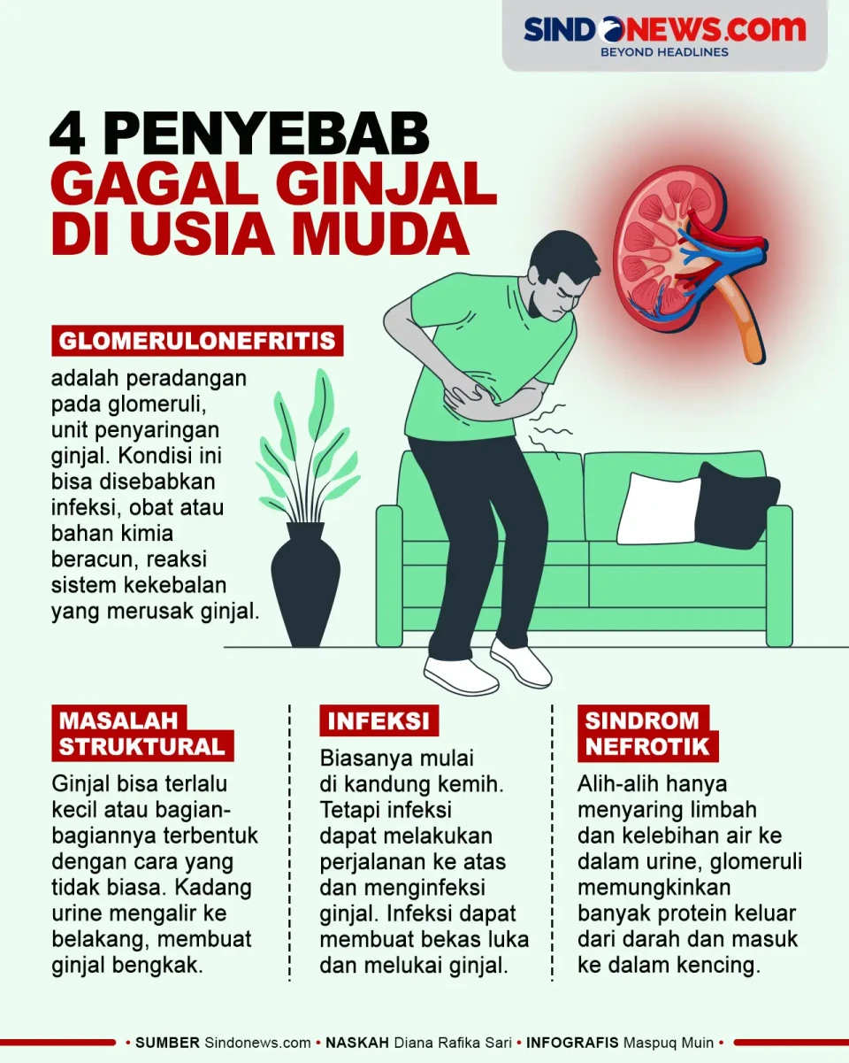 4 Penyebab Gagal Ginjal...