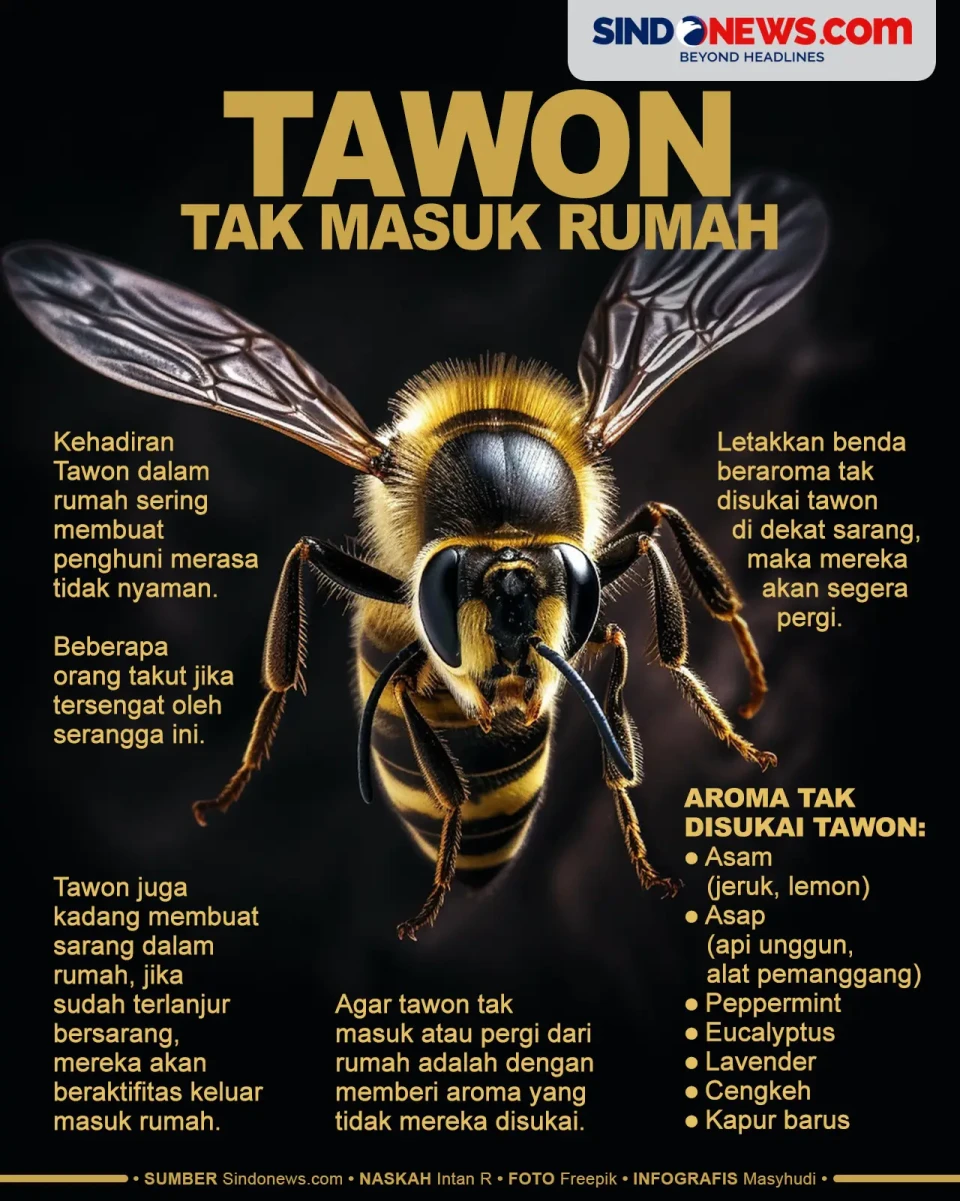 Tips Supaya Tawon Tidak...
