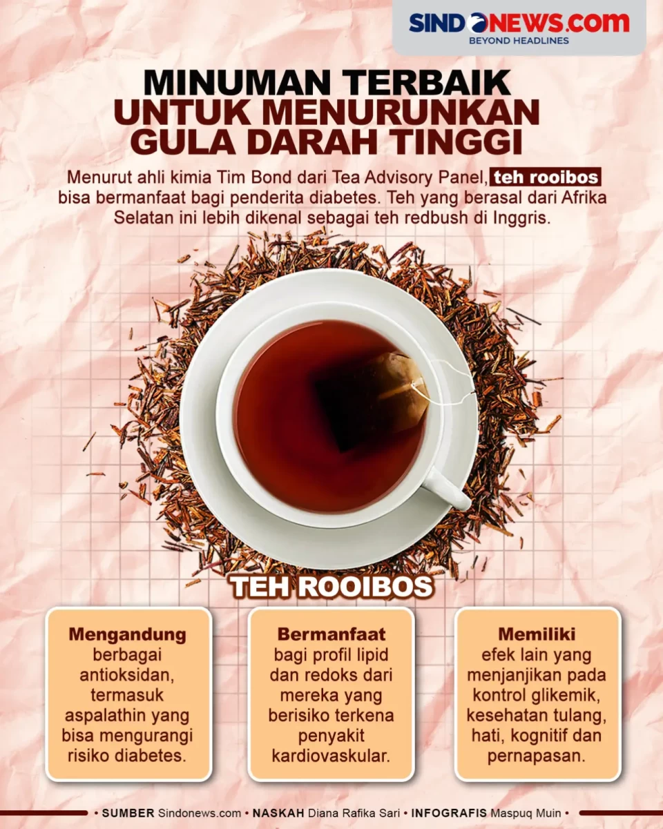 Minuman Terbaik Menurunkan...
