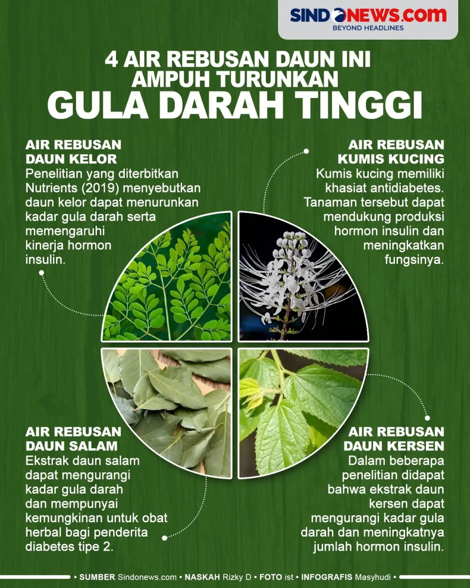 4 Air Rebusan Daun Ini...