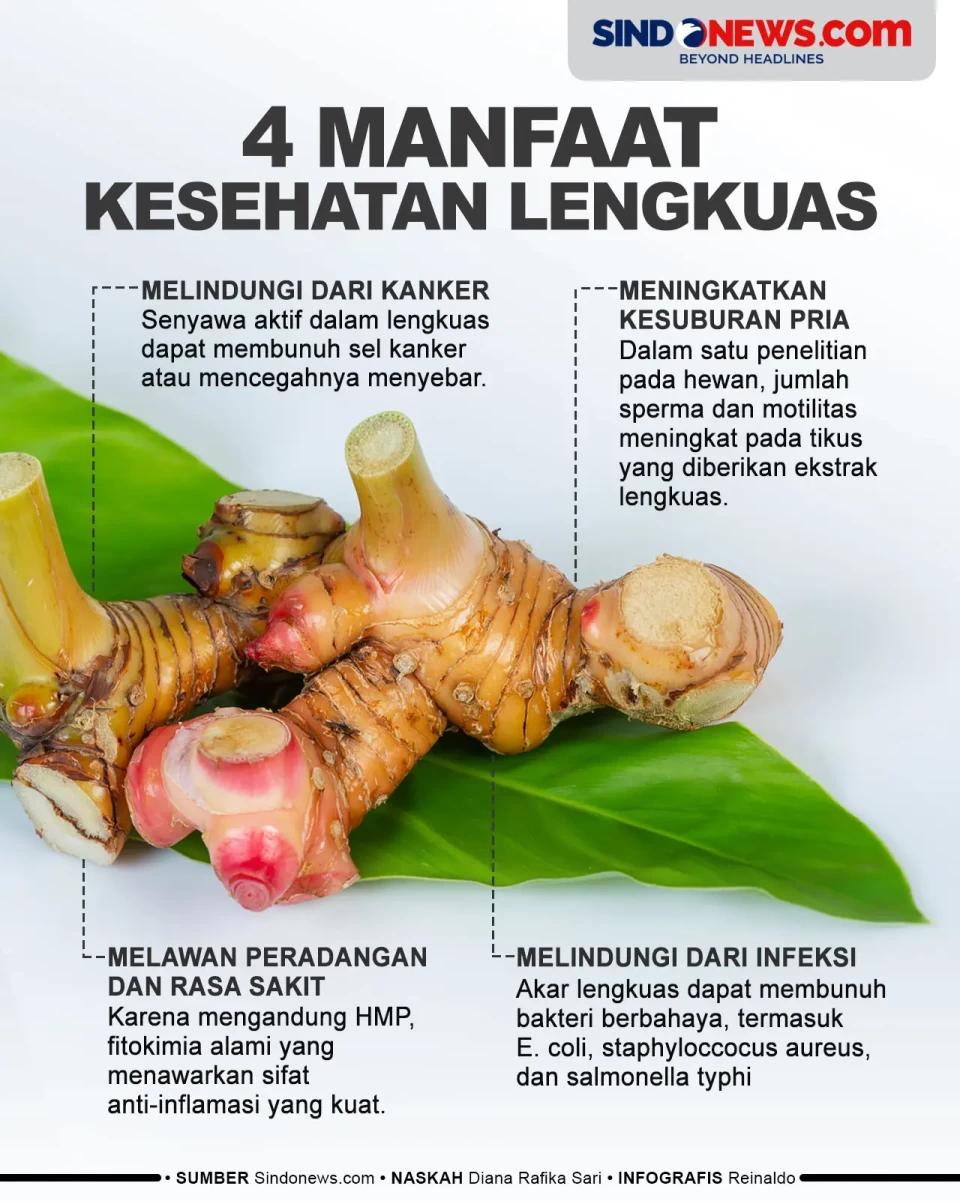 4 Manfaat Kesehatan...