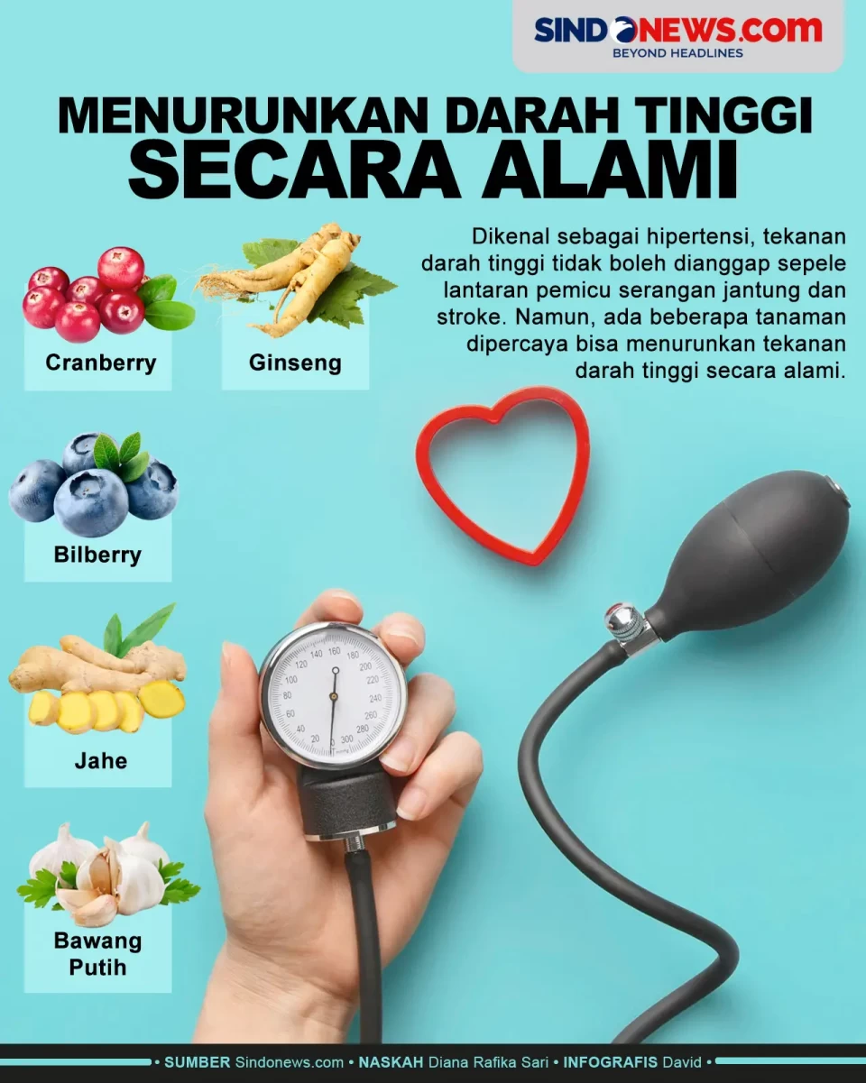 Tanaman yang Bisa Menurunkan...