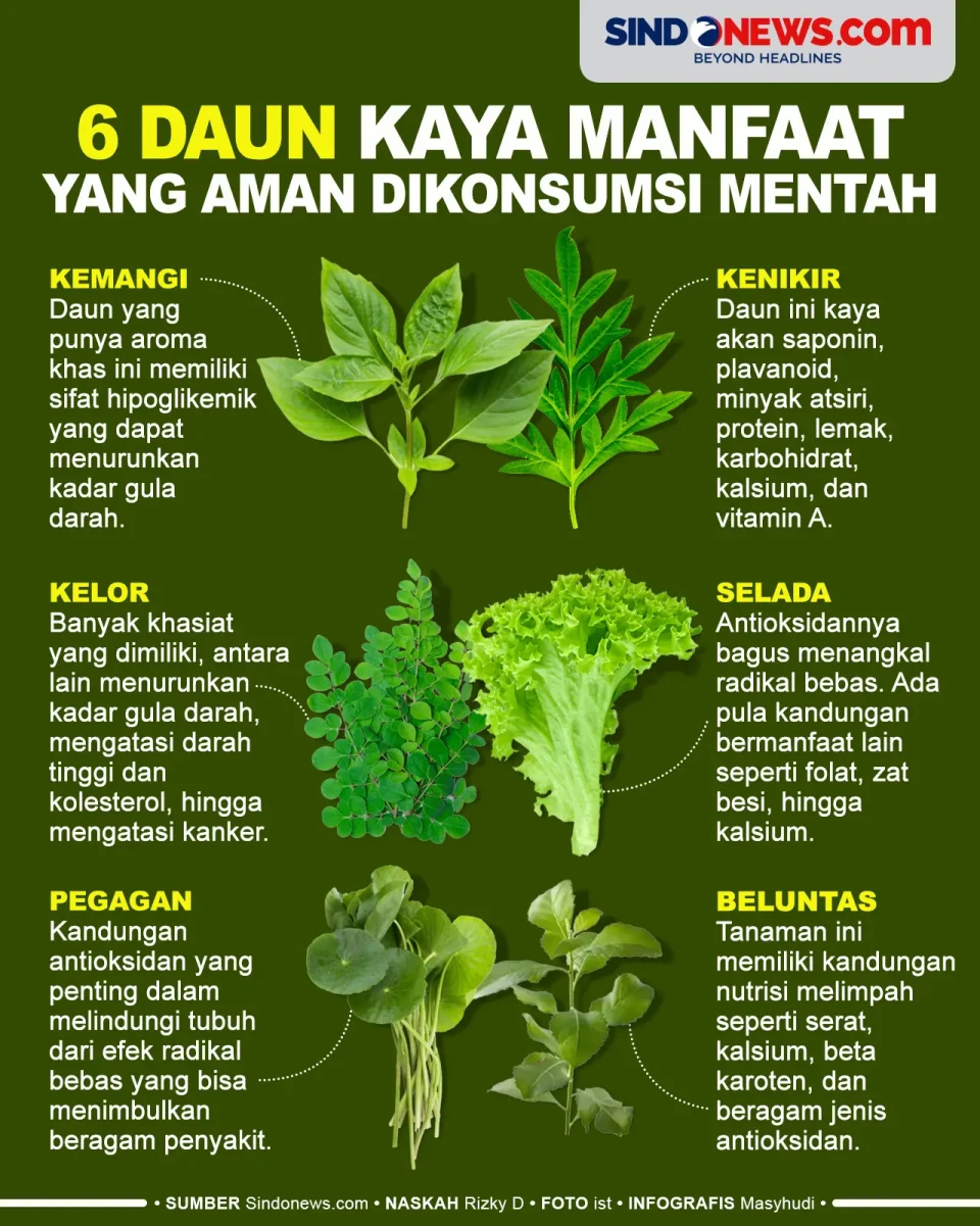 6 Daun Kaya Akan Manfaat...