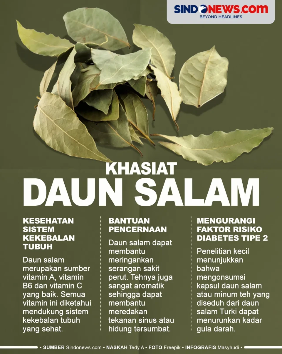 Khasiat Daun Salam,...