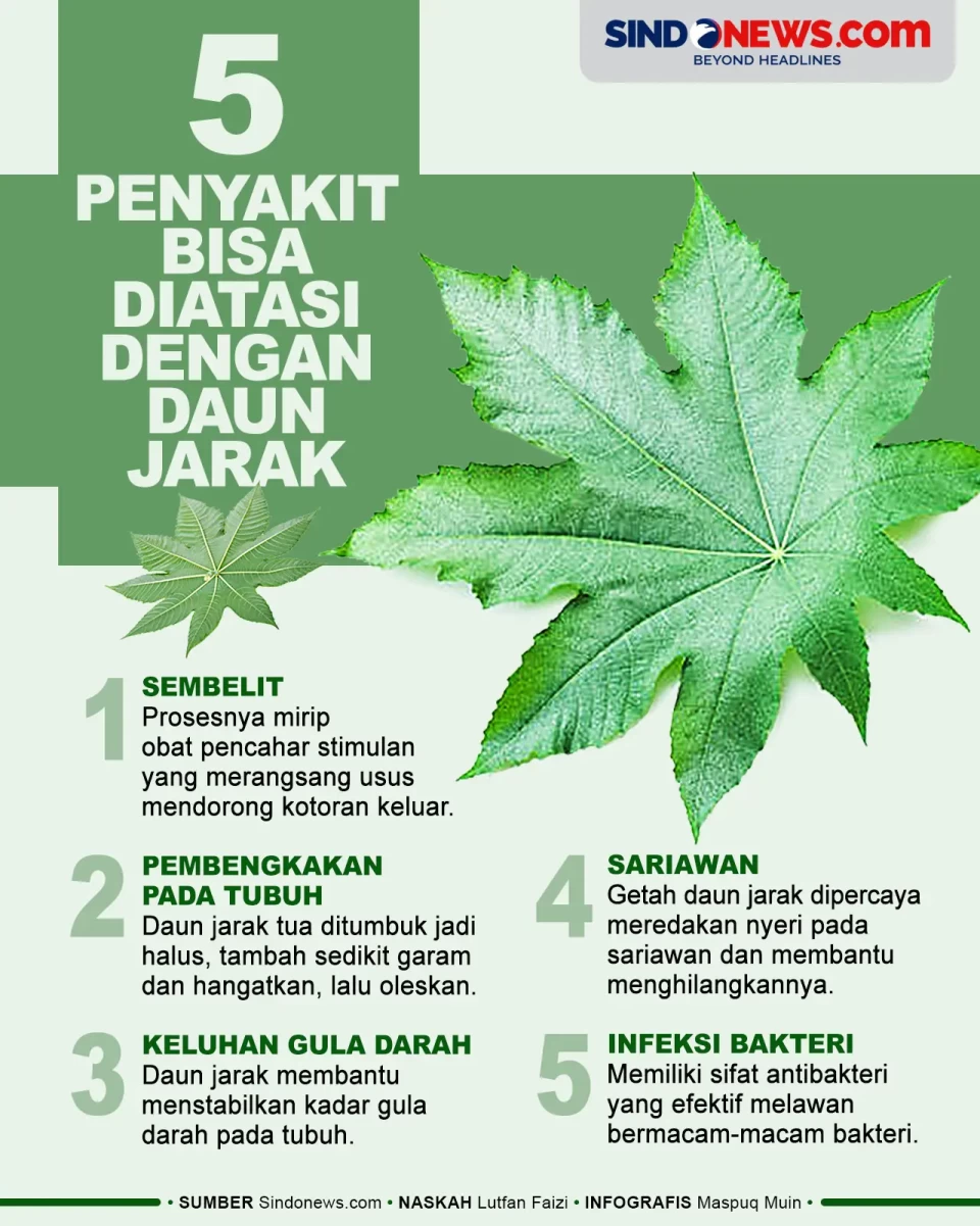 5 Penyakit Bisa Disembuhkan...
