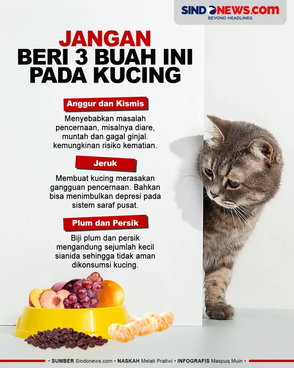 Berbahaya, Jangan Beri...