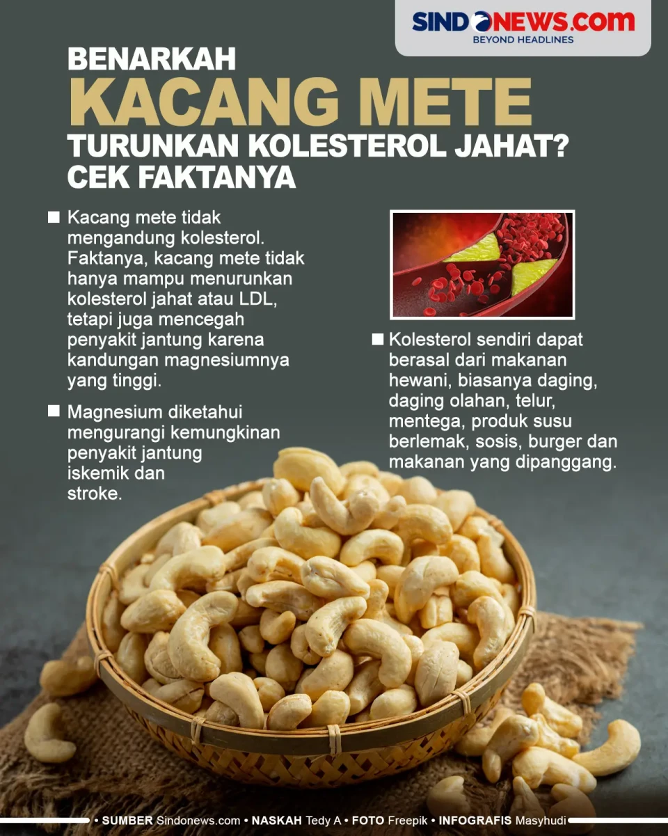 Benar Kacang Mete Dapat...