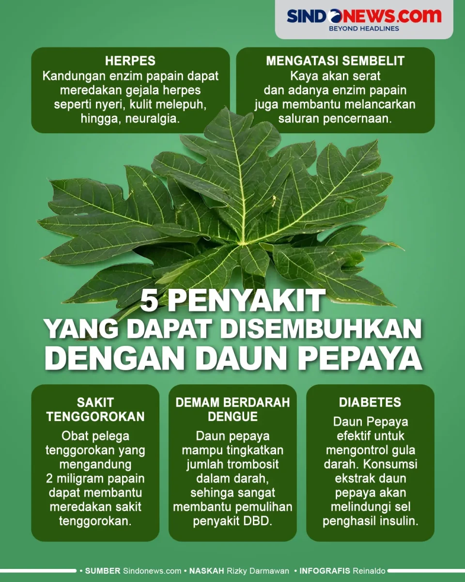 5 Penyakit yang Dapat...