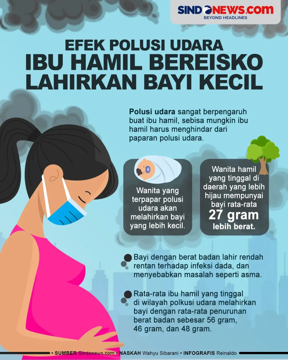 Efek Polusi Udara, Ibu...