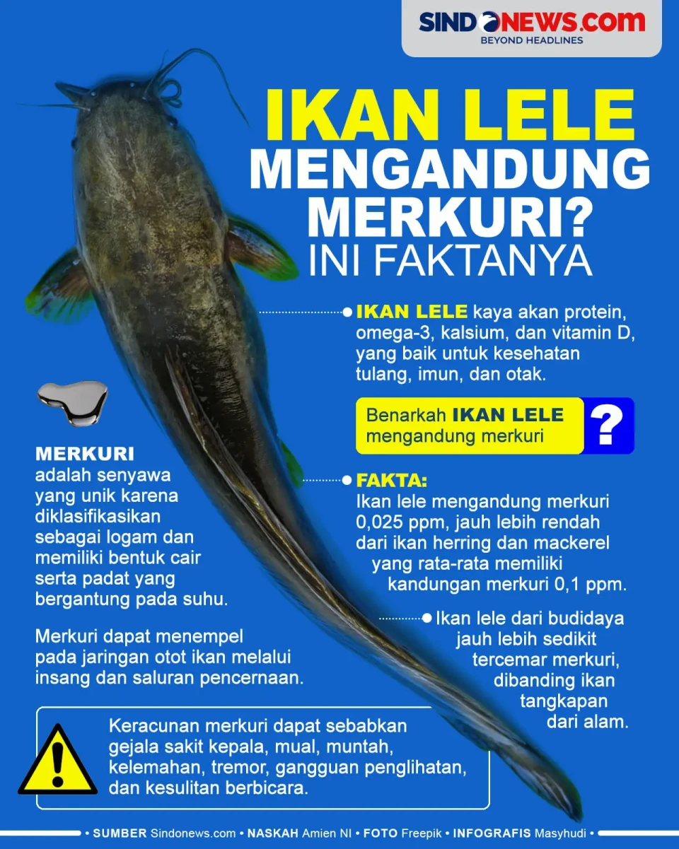 Benarkah Ikan Lele Mengandung...