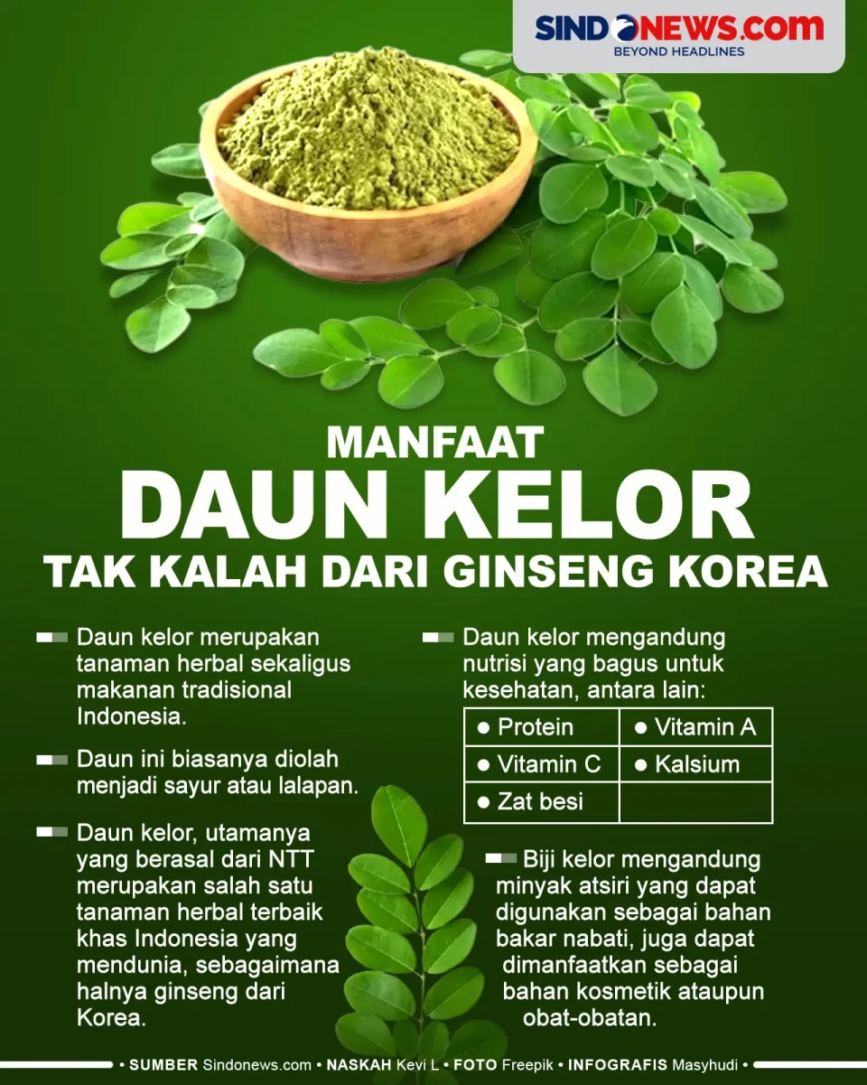Daun Kelor Memiliki...