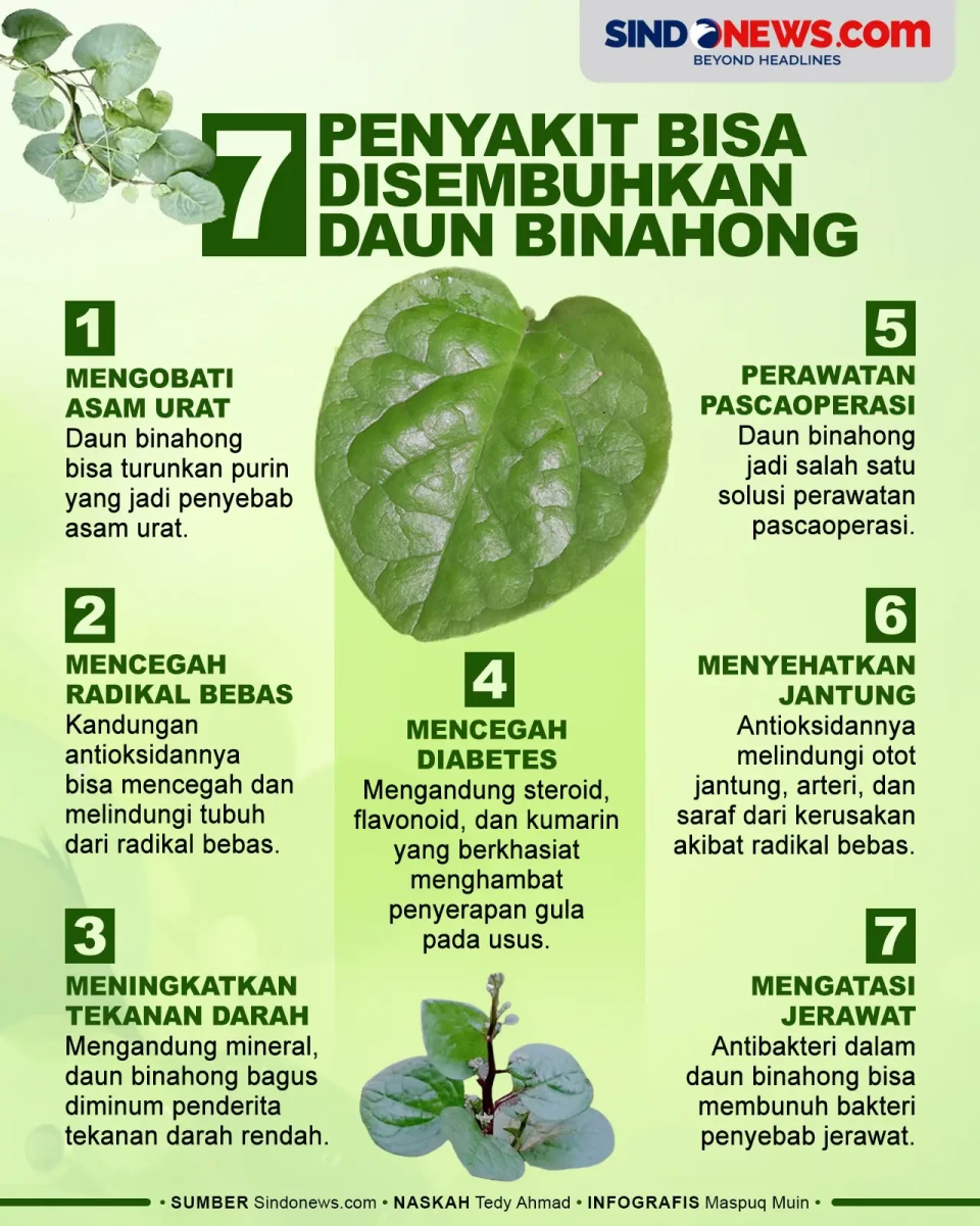 7 Penyakit Bisa Disembuhkan...