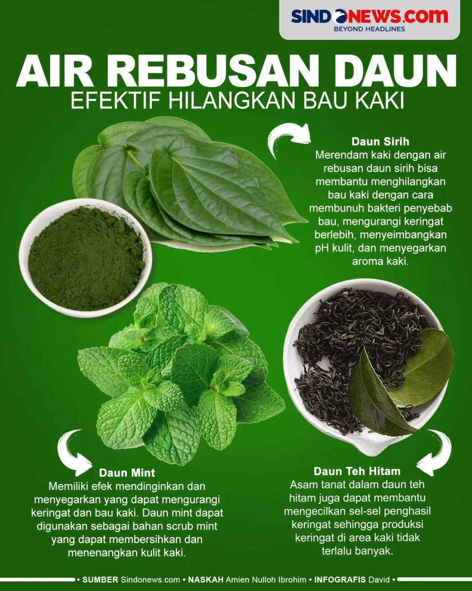 3 Air Rebusan Daun yang...