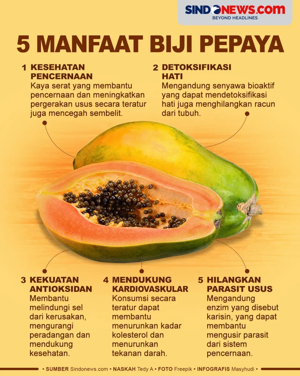 5 Manfaat Biji Pepaya,...