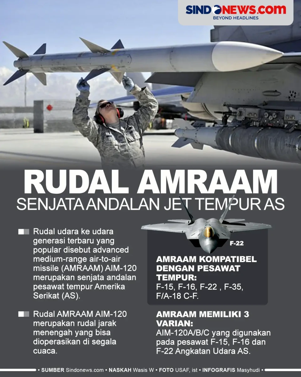 Rudal AMRAAM, Senjata...