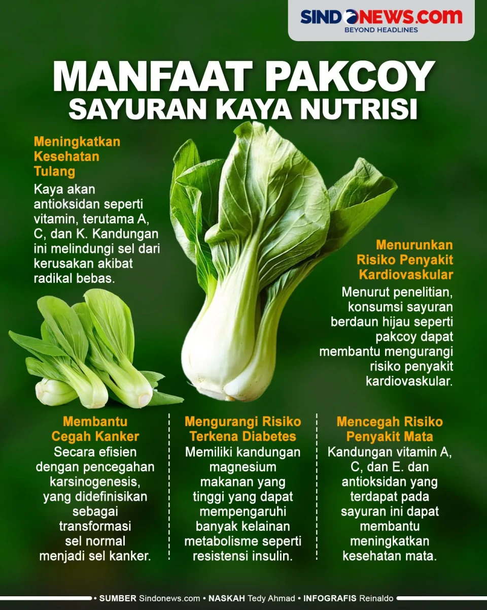 Manfaat Pakcoy, Sayuran...