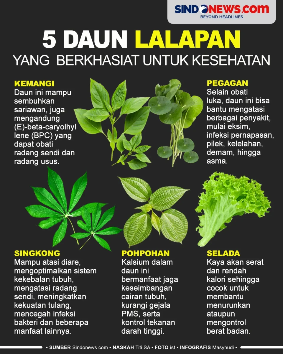 5 Daun Lalapan yang...