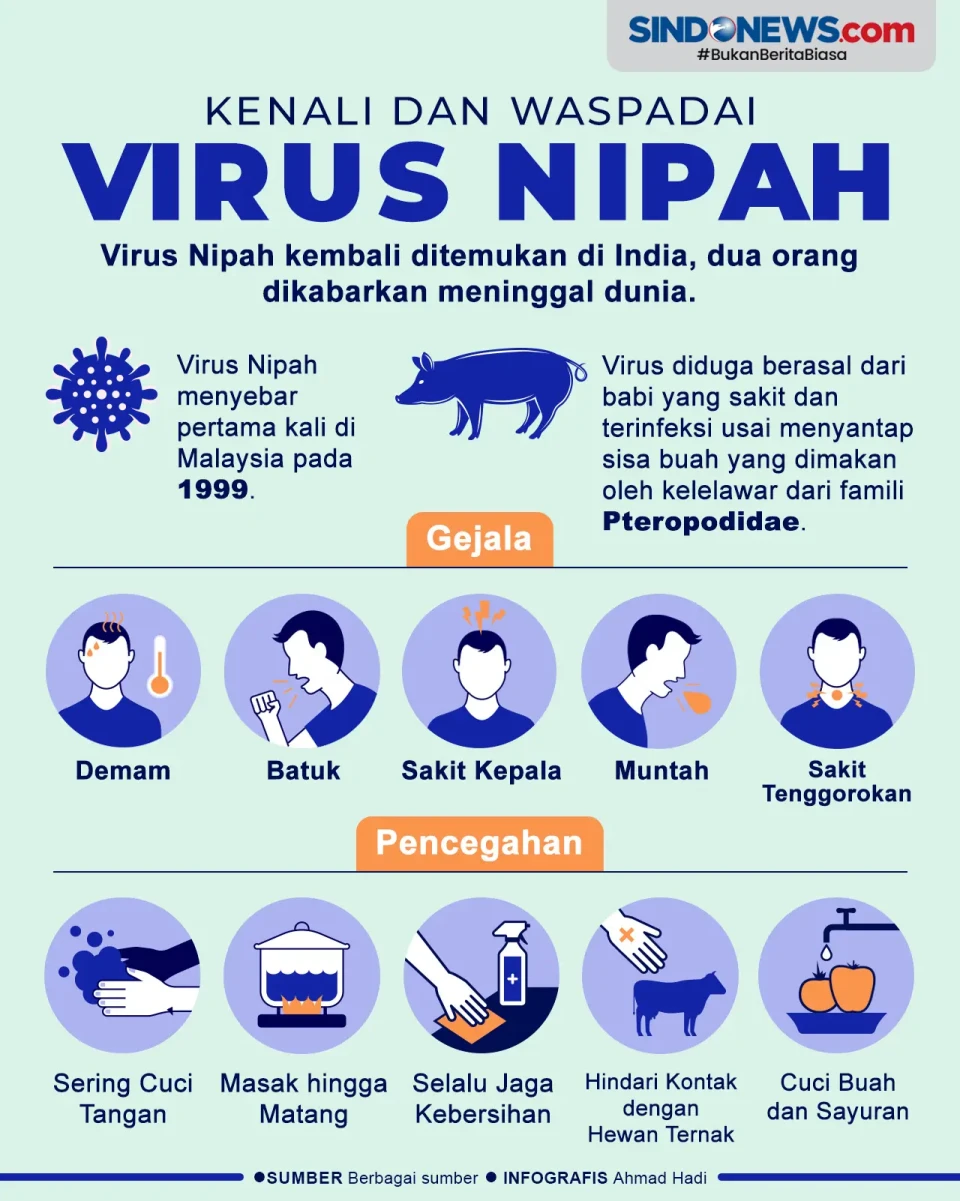 Waspadai Virus Nipah,...