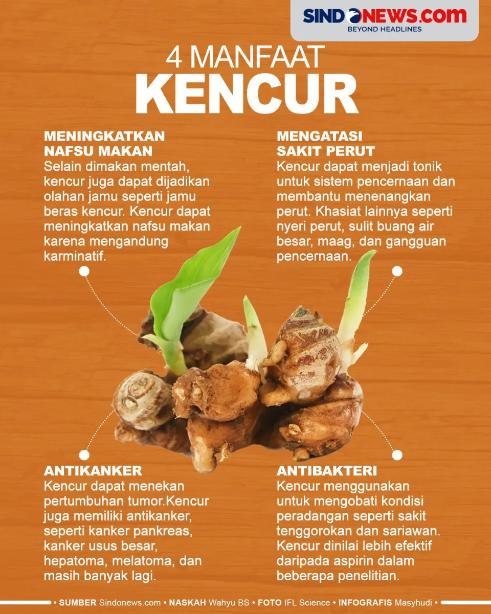 4 Manfaat Kencur yang...