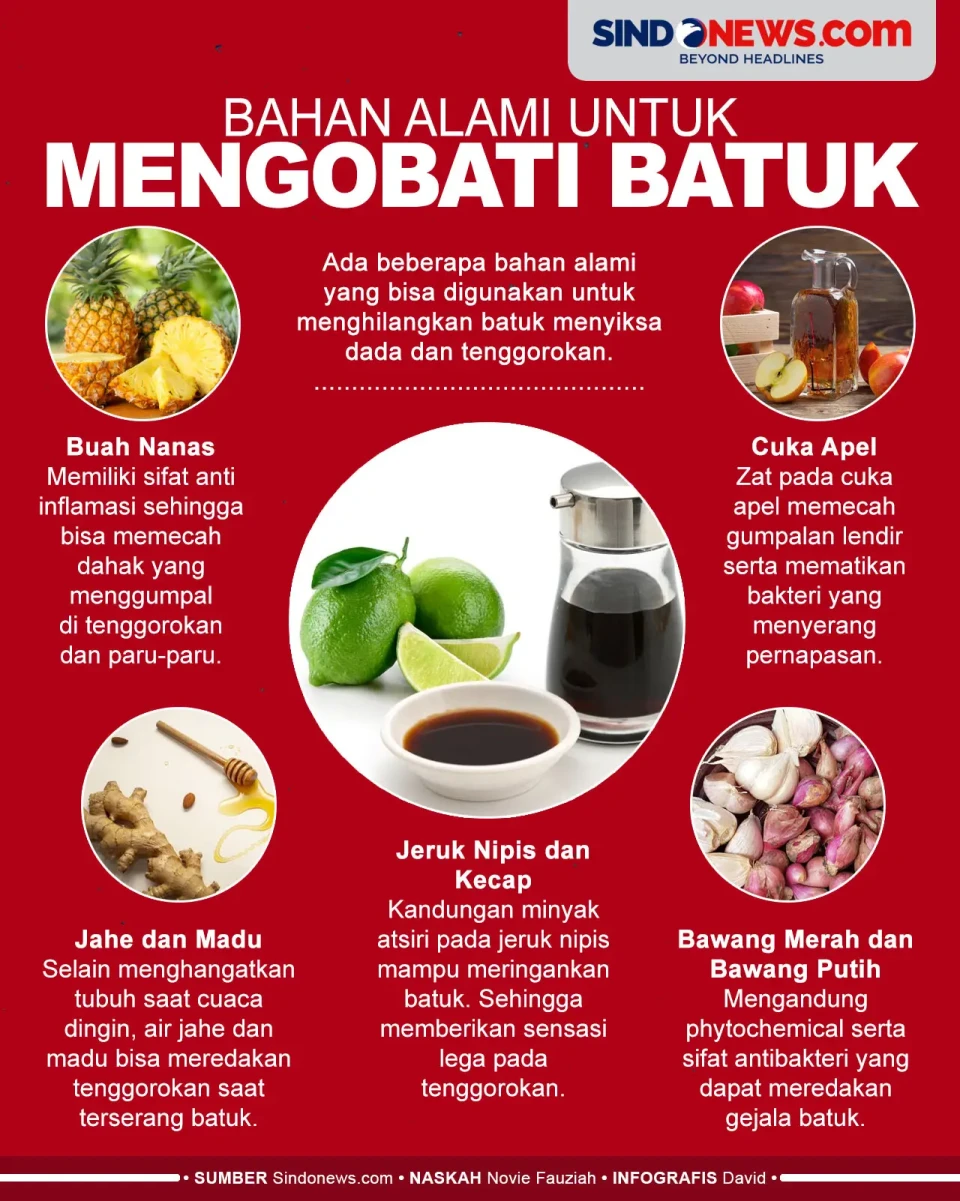 Wajib Dicoba, Berikut...