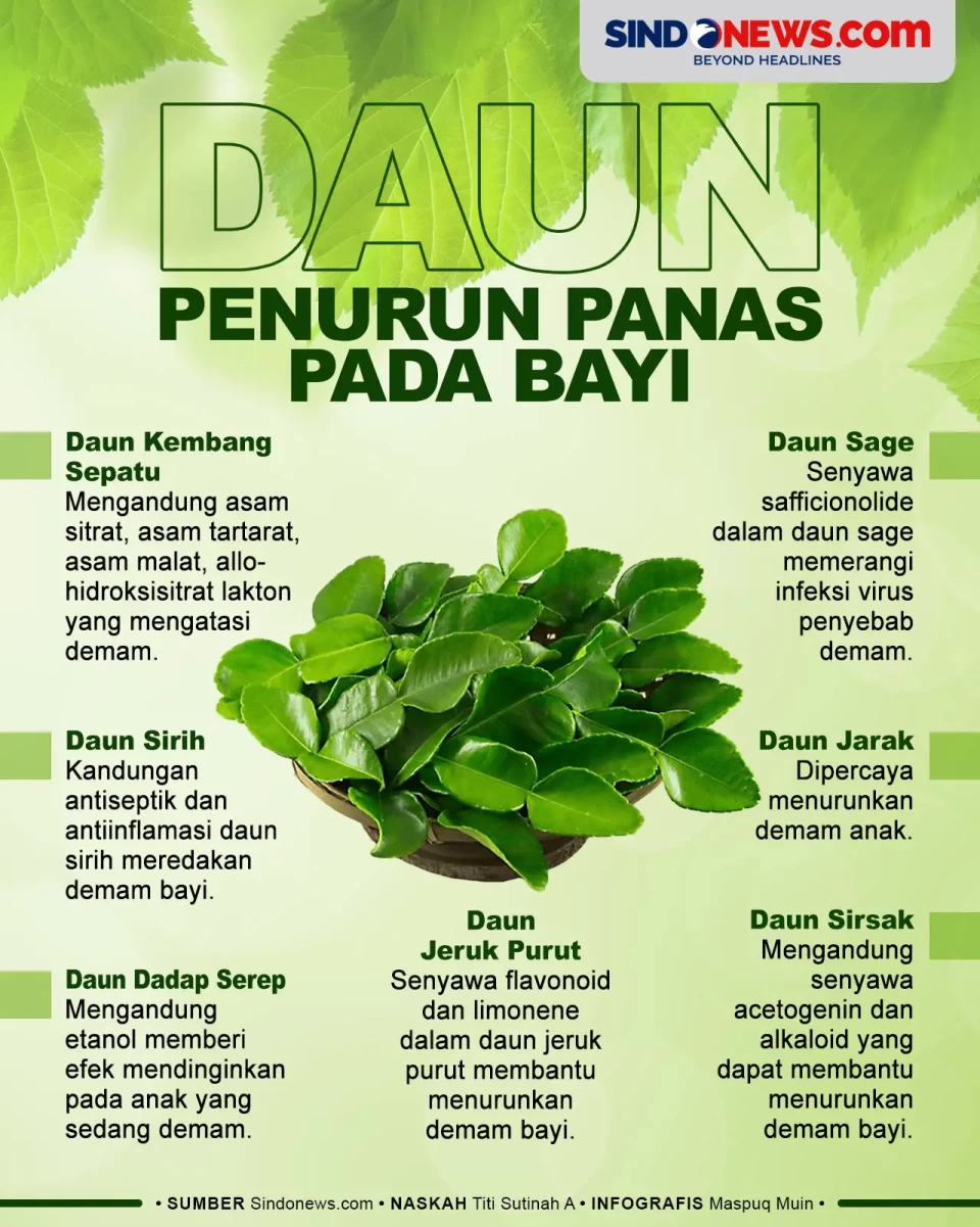 7 Daun Berkhasiat Turunkan...
